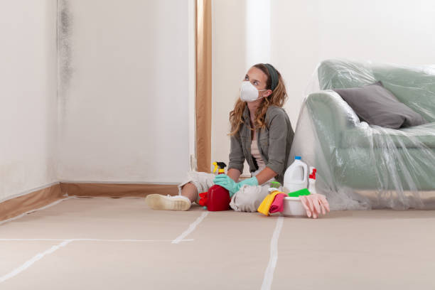 Reliable Mold Remediation contractor in Ortonville, MI by 24 Hour Mold Removal